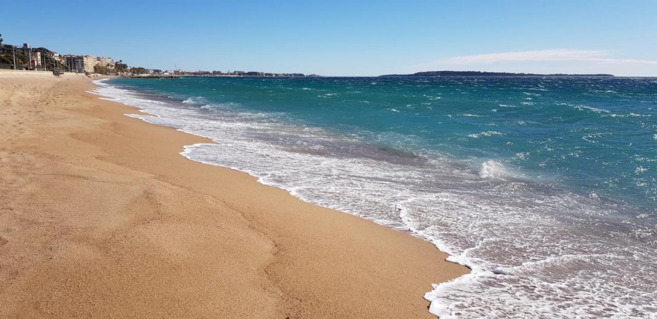 Cannes Les Pins エクステリア 写真